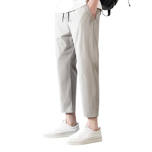 [Miflaier]yXg[gpcz ėpXgb`㕪 yʋCJWAz Ypc ƉK ȋ㕪 N Ă̒