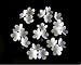 x100 Handcrafted Edible Wafer paper Blossom Flowers (Shiny white) 100 PK flower topper for cakes/wafer flower/winter wedding cake topper/cupcake topper /