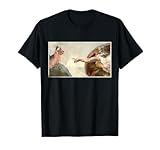 Creation Of Adam Cat Meme