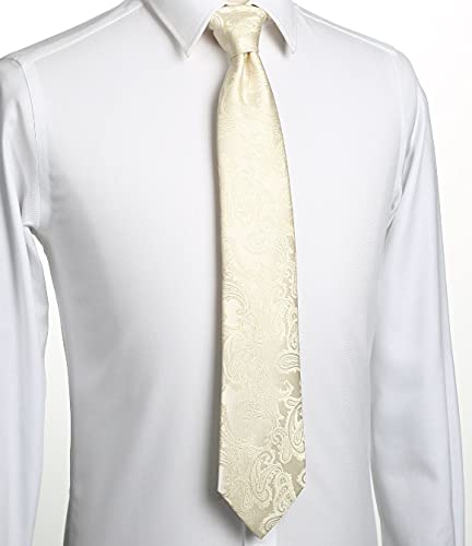 Image of KissTies Mens Paisley Tie And Pocket Square Necktie Sets