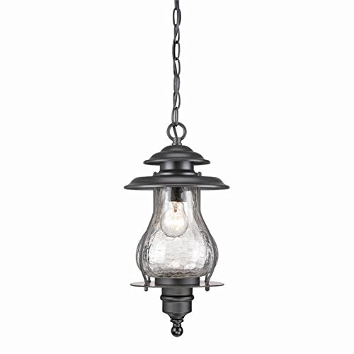 Acclaim 8206Bk Blue Ridge Collection 1-Light Outdoor Light Fixture Hanging Lantern, Matte Black #TOP27