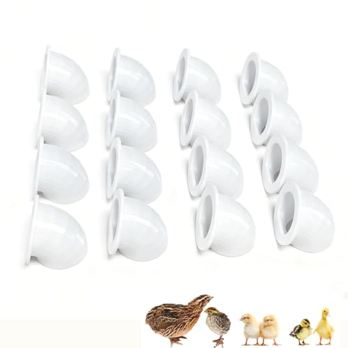 Quail Chick Port Feeder Compatible with DIY Bucket Pail Bin Container Coturnix - Set of 16 (1in)