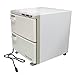Pantin 32L Premium Two Compartment Towel Warmer for Hair Salon, Beauty SPA, Restaurant & Home. Heated Towel Warmer -Large Electric Hot Towel Cabinet for Salons, Spas - The Best Spa Equipment 110V 320W