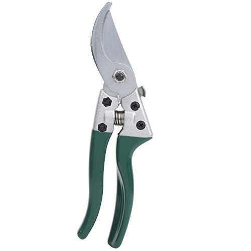 Forbici da Giardino Resistenti Alla Ruggine per Tagliare i Rami degli Alberi da Frutto, Cesoie in Acciaio Legato SK5, Forbici per Legno di Bosso per Tagliare i Bordi