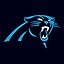 Carolina Panthers Carolina Panthers
