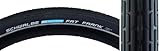 Schwalbe