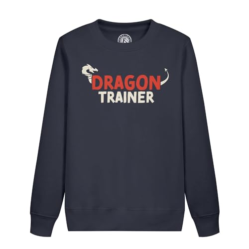 Sweat dresseur de dragons enfant idéal pour les journées d'école