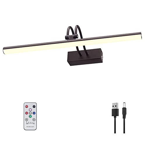 RAIFOOLLY Picture Light,Wireless Art Lights for Paintings,16" Battery Wall Light,Remote Control Accent Lighting with Timer and Dimmable for Frame,Portrait,Artwork-Bronze