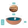 Now Designs Terracotta Pinch Bowl Set, Soy Sauce Dish, Set of 6, 1 oz, Multicolor #1