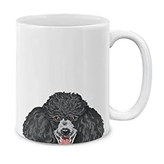 Black Standard Poodle