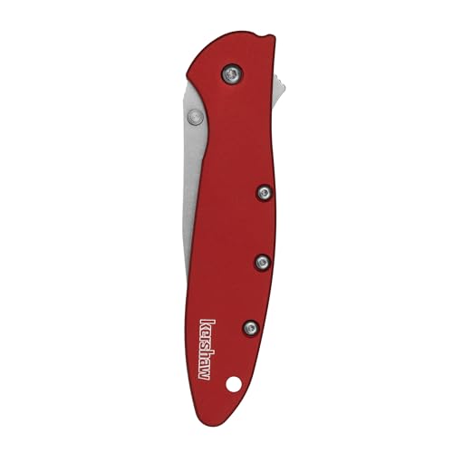 Image of Kershaw Leek, BlackWash Pocket Knife (1660BLKW); 3 Sandvik 14C28N Steel Blade, 410 Stainless Steel Handle, BlackWash Finish, SpeedSafe Assisted Open, Frame and Tip Locks, Reversible Pocketclip; 3 OZ