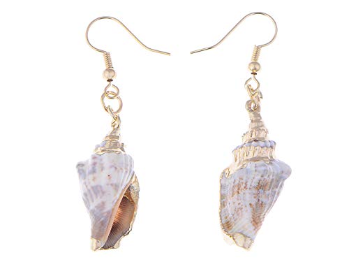 Alilang Golden Accent Marine Nautical Brown White Conch Seashell ...