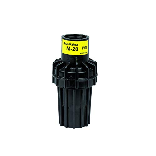 Rain Bird Druckminderer / Druckreduzierer / Druckregulierer 3/4" x 3/4" IG PSI-M20