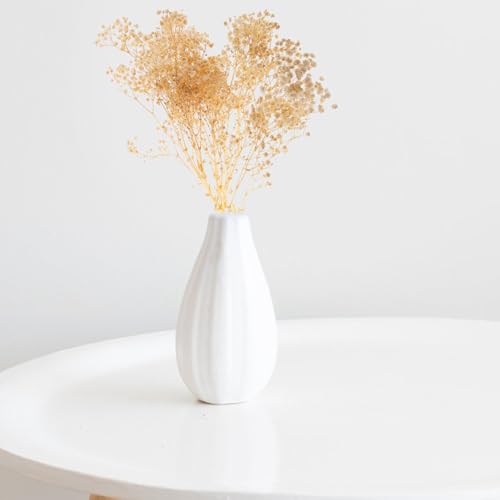 Ramo de flores secas Gypsophila blanco 44 cm miniatura 4