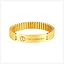 02 Gold-TYPE 1 DIABETES
