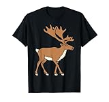 Caribou Minimalista caribù animali divertenti
