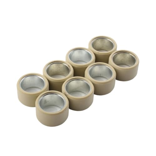 Rouleau de variateur 30x19 25g pour quad CF188 CF500