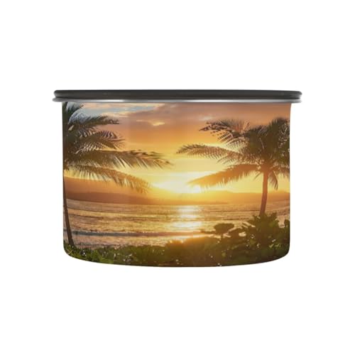 Envase hermético de acero inoxidable para café 17oz