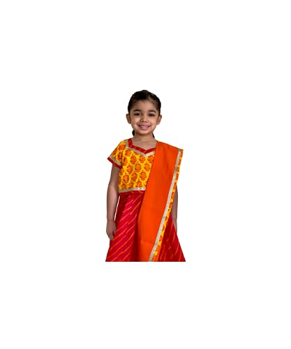 Traditional Indian Multicolor Cotton Lehenga Choli For Girls4