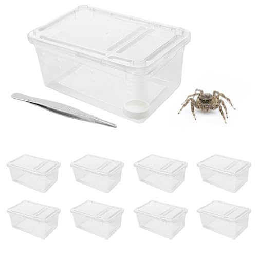 Jamceoceo 8 PCS Reptile Terrarium Plastic Clear Enclosure Portable Reptile Transport Box for Snakes, Frogs, Lizards, Insects, Scorpions, Geckos, Spiders Perfect Reptile Enclosure.