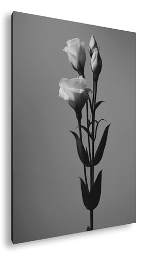 Jolies roses impression numérique 90x60cm tableau noir et blanc avec cadre bois véritable