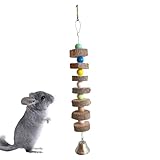 Jouets à Ronger pour Chinchillas, Jeu Interactif De Nettoyage Dentaire À Mâcher, Bâtonnets...