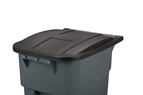 https://m.media-amazon.com/images/I/31+dD7Fq9QL._SL500_.jpg