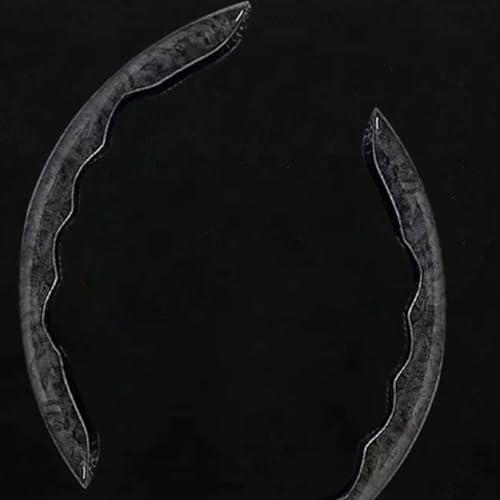 g^nA[60n2013N12-2020N6fp nhJo[ ԗp ؒ ^ h XeAOJo[ PVCf tȒP I[V[YΉ ^]K ANZT[(ubN)