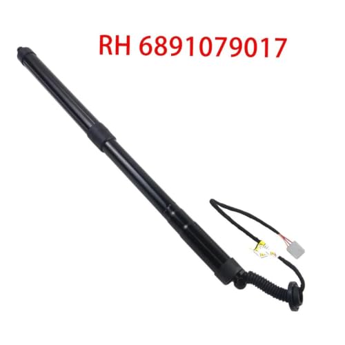 Vérins de hayon bloqués ? Solution support pour Lexus NX AZ10 - 2