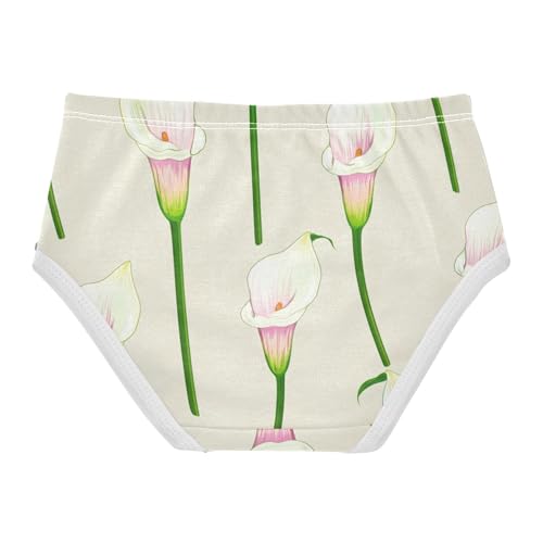 Floral Calla Lilies Pink Beige Cute Panties Girl Toddler Girls Underwear Cotton Print Kids Briefs Undies 2t2