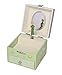 Trousselier - Joyero musical, caja para tesoros, de El principito de Saint Exupéry, para niños, fosforescente, brillante por la noche, música La Valse d'Amélie Poulain, color verde