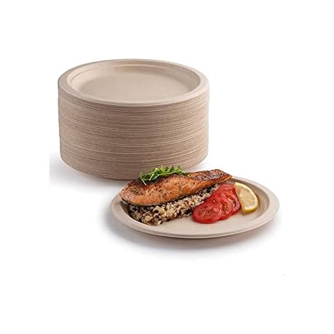 Assiettes en carton biodégradables YIEN Cover