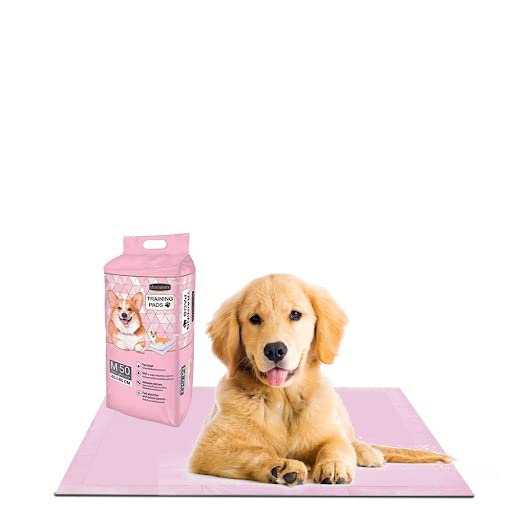 Waggytails Orignal (Limited Edition) Goodies Pee Pads for Dogs Training Pads Super Absorbent Pee Mats | Poop Pee Trainer Pet & Puppy Pee Trainer (Medium 50 Pieces) (45 X 60 Cm) (Pack of 3) (B0BSKQC7C7) Amazon Price History, Amazon Price Tracker