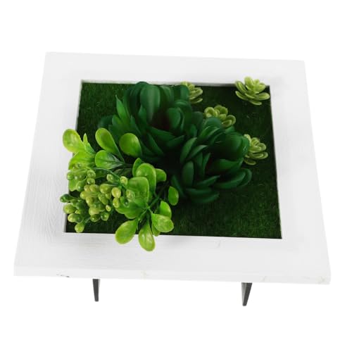 Abaodam 101a Cadre Photo Plantes Artificielles Décoration De Simulées pour Salon Et Bureau Naturelle sans Entretien