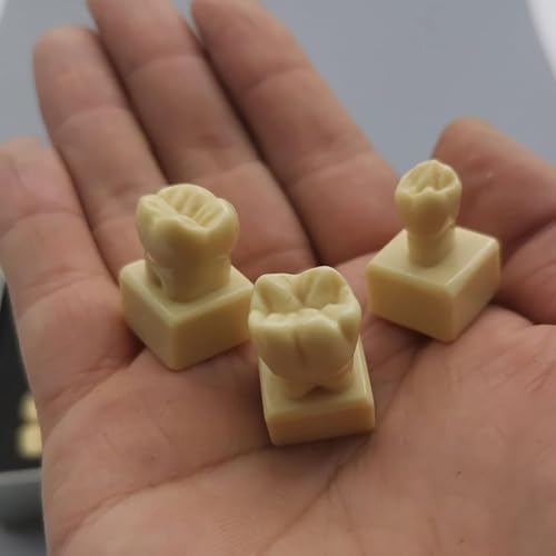 1,2 x model do nauki stomatologicznej z 28 izolowanymi kształtami zębów, do komunikacji lekarz-pacjent i nauczania naukowego