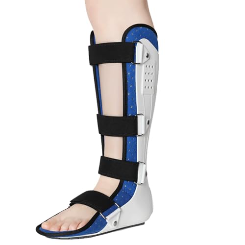 SFKLYU pY ŒpY u[X ܃T|[g u[X obtt pY PAܐ捜ܗp,A1 left,S