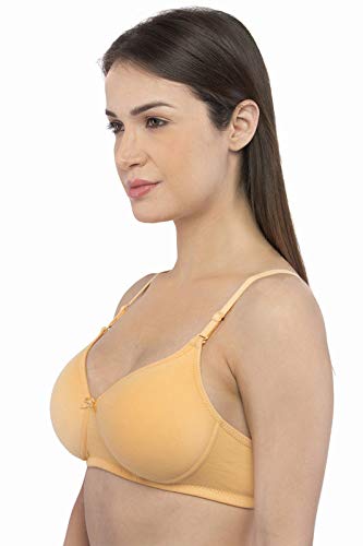 Image of VIP Feelings ELLE Cotton Rich Fabric Wirefree Padded T-Shirt Bra Combo Set for Womens with Medium Coverage
