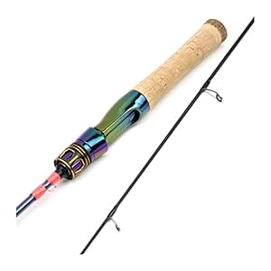Visstang/visserspaal 1.68m Kleurrijke Solid Tip Trout Lure Hengel Slow 2-8G Carbon Spinning/Casting Rod Ultralight Henang Haspelcombo’s (Color : Spinning Rod, Length : 168cm)