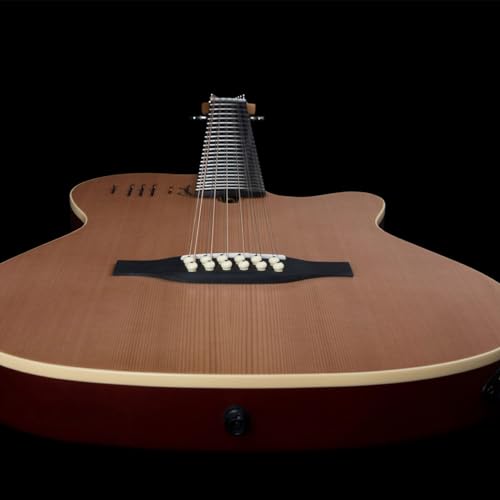 Godin 025343 A12 Two-Chambered Electro-Acoustic Guitar thumb #5
