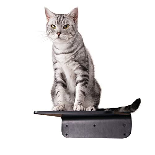 MYZOO }CY[ LACK LbgXebvZbg LbgEH[N Ǌ| LbgXebv pCC ȃXy[X LVѓ  VjA ^ Z (M, ubN)