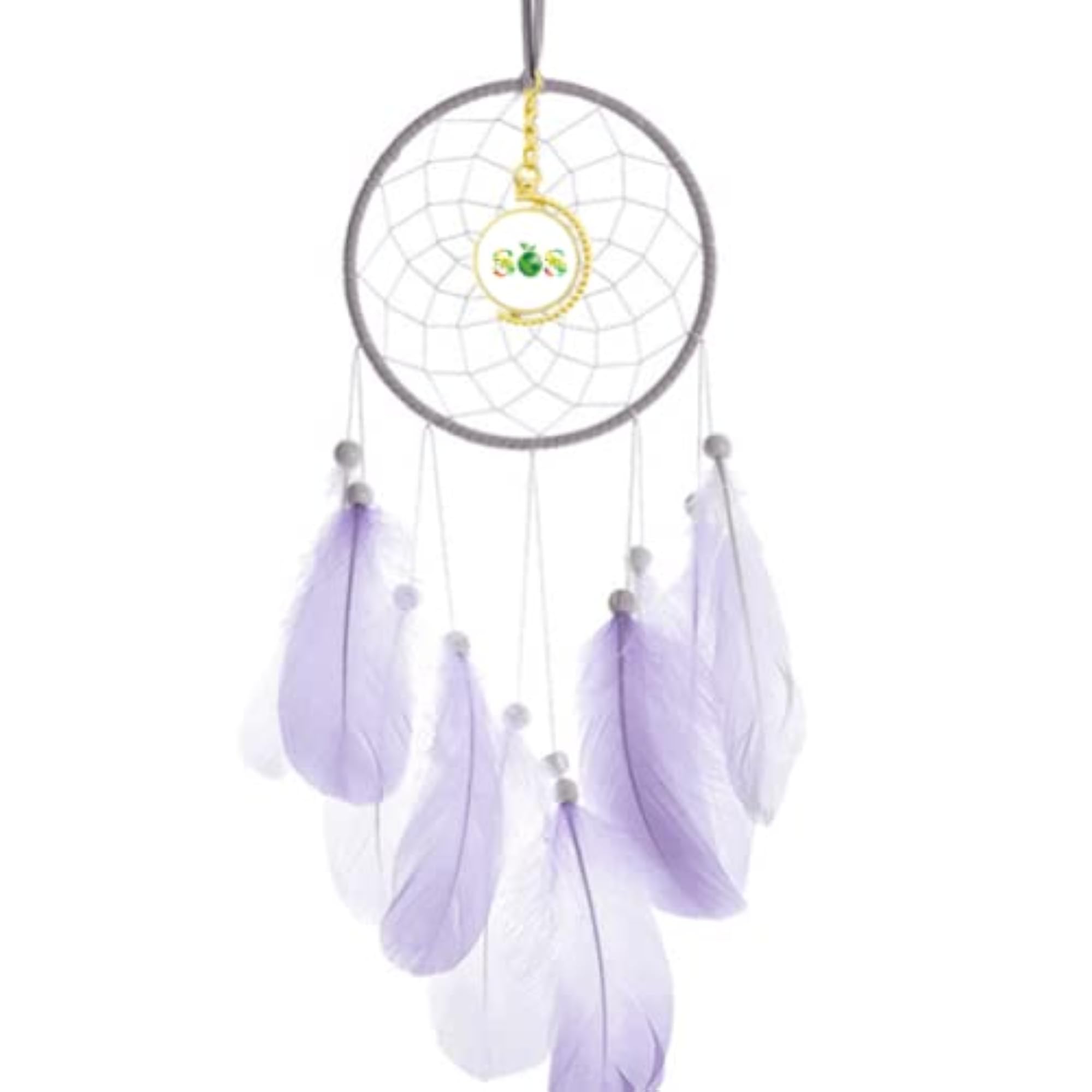 Protect Global Environment Dream Catcher Wall Hanging