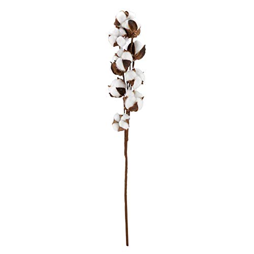 3 unidades de flores secas de algodón natural 60 cm miniatura 4