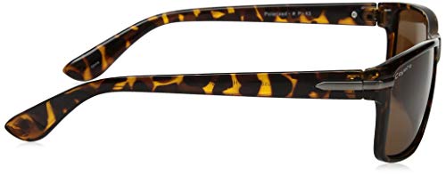 Coyote Eyewear Fashion Polarized Sunglasses3