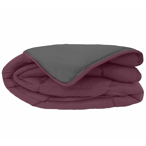 Linnea Couette Hiver 160x220 cm Cocoon Bicolore Prune/Gris garnissage Fibre Polyester 400 g/m2
