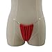 SHERRYLO Thong Bikini Bottom Clear Straps Brazilian Thongs Bottoms No Tan Line Bikini Swimsuit for Women