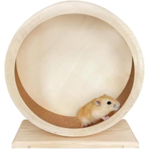 Sailozai �n���X�^�[�p�����j���O�z�C�[�� �S�[���f���x�A �T�C�����g�ؐ� �X�^���h�t�� �R���N�p�b�h�t�� ���[���[ �X�|�[�c�ߋ� �����p�i (20cm)