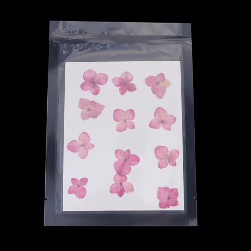 Flores Secas Prensadas para Manualidades, 48 Piezas miniatura 4