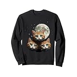 満月と三匹の茶トラ猫 夜空 星 星明り 幻想 可愛い 猫 猫好き 天体観測 月夜 宇宙 トレーナー