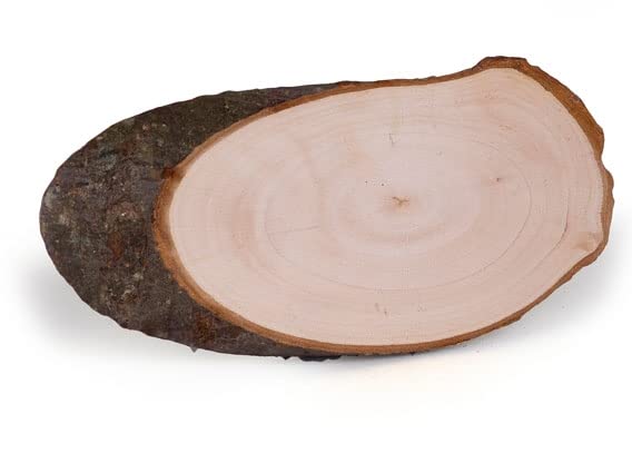 Unbekannt Bark Board Natural Oval Approx. 17-19 x 9 x 1 cm