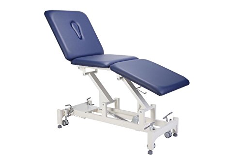 Everyway4All Taiwan Ca65 Trio 3 Section Physical Therapeutic Therapy Treatment Table Electric #TOP6
